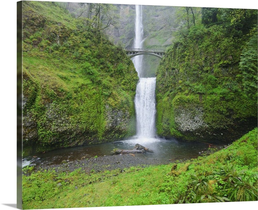 Multnomah Falls In Spring In Columbia River Gorge, Oregon