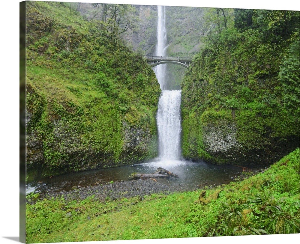 Multnomah Falls In Spring In Columbia River Gorge Oregon Wall Art