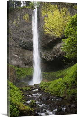 Narrow Waterfall With Moss Covered Cliffs; Oregon, USA