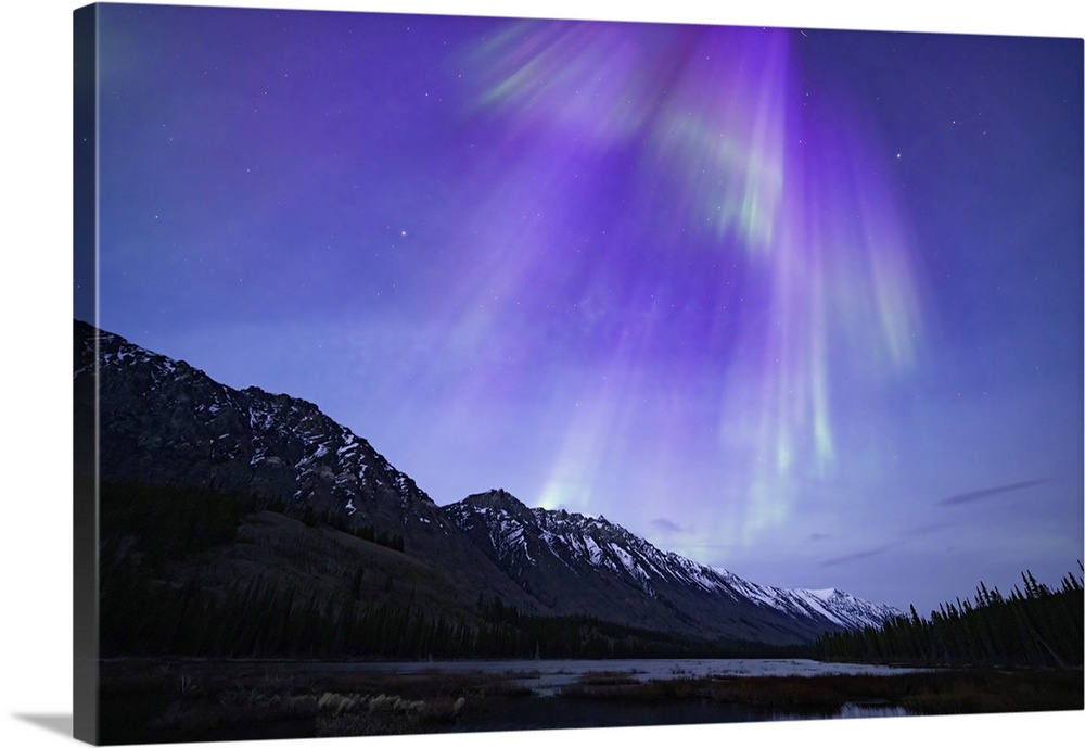 Northern lights dance above the Grey Ridge near Annie Lake, Yukon; Whitehorse, Yukon, Canada.