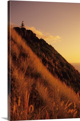 Oahu, Lanikai, Mountain Biker At Top Of A Hill At Sunset