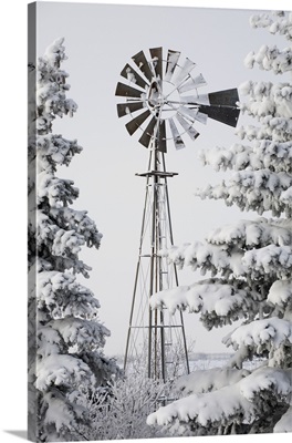 Old Windmill And Trees Covered With Snow And Frost; Calgary, Alberta, Canada