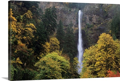 Oregon, Columbia River Gorge, Multnomah Falls Among Fall Colors