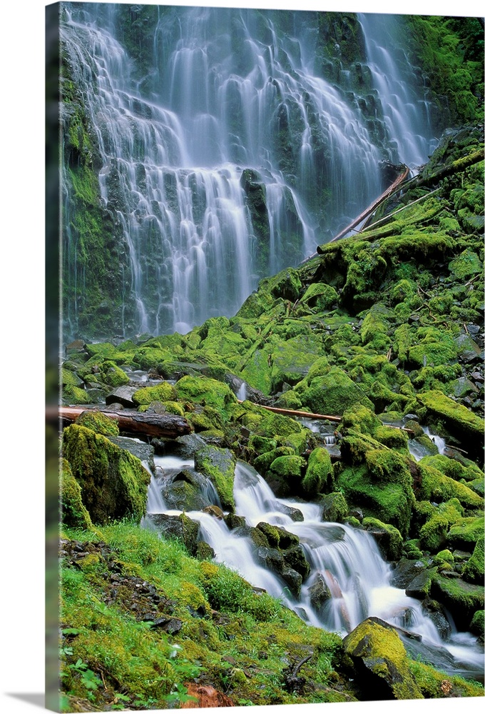 Oregon, Willamette Valley, Lower Proxy Falls, Green Mossy Rocks And Waterfall