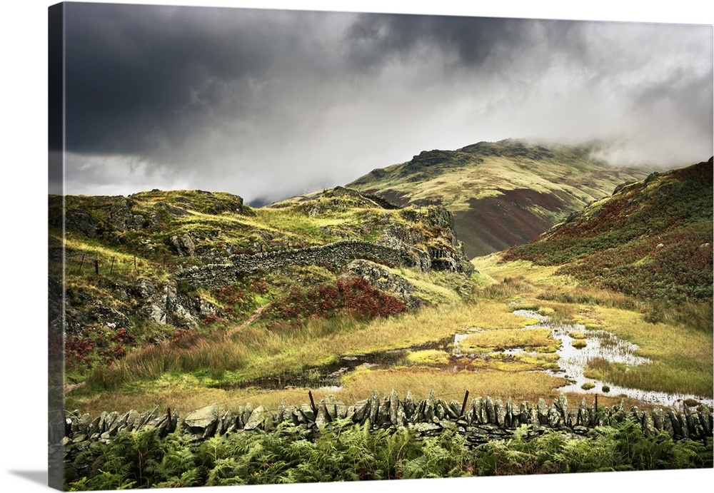 Overview of Moorland, Alcock Tarn, Grasmere, Lake District, Cumbria, England