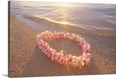 Pale Pink Plumeria Lei In Shoreline Waters With Golden Sunset Reflections
