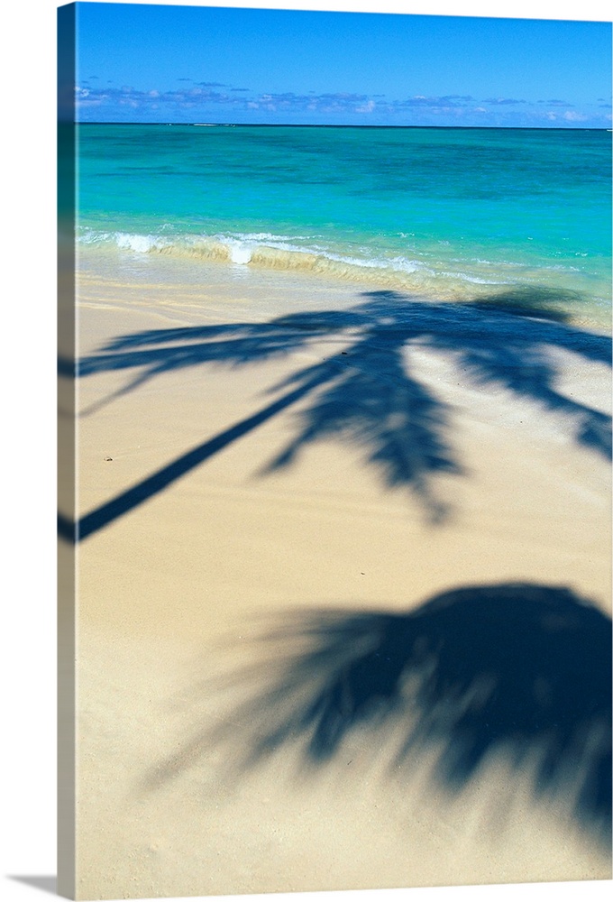 Palm Shadows On White Sand Beach, Turquoise Water