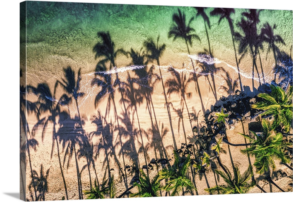 Aerial view of palm tree shadows on the sand of a tropical beach at the water's edge, Kihei, Maui, Hawaii, united states o...