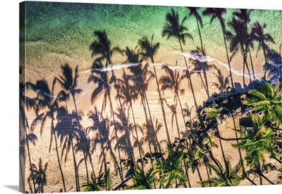 Palm Tree Shadows On The Sand Of A Tropical Beach, Water's Edge, Kihei, Maui, Hawaii