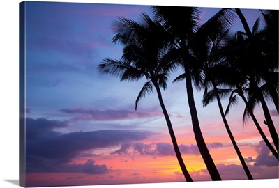 Palm trees at sunset, Keawekapu Beach, Maui, Hawaii, USA