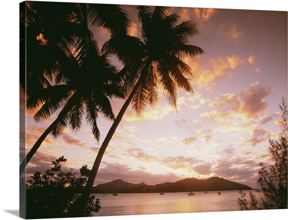 Palm Trees On Tropical Beach At Sunset, Nanuya Lai Lai, Fiji