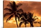 image thumbnail of Palm trees silhouetted in an orange sky; Wailea, Maui, Hawaii, United States of America