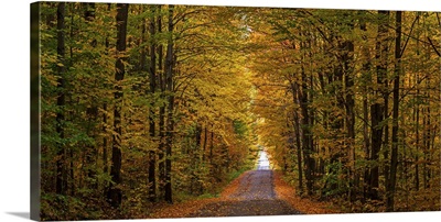 Panorama of country road in autumn, Iron Hill, Quebec, Canada