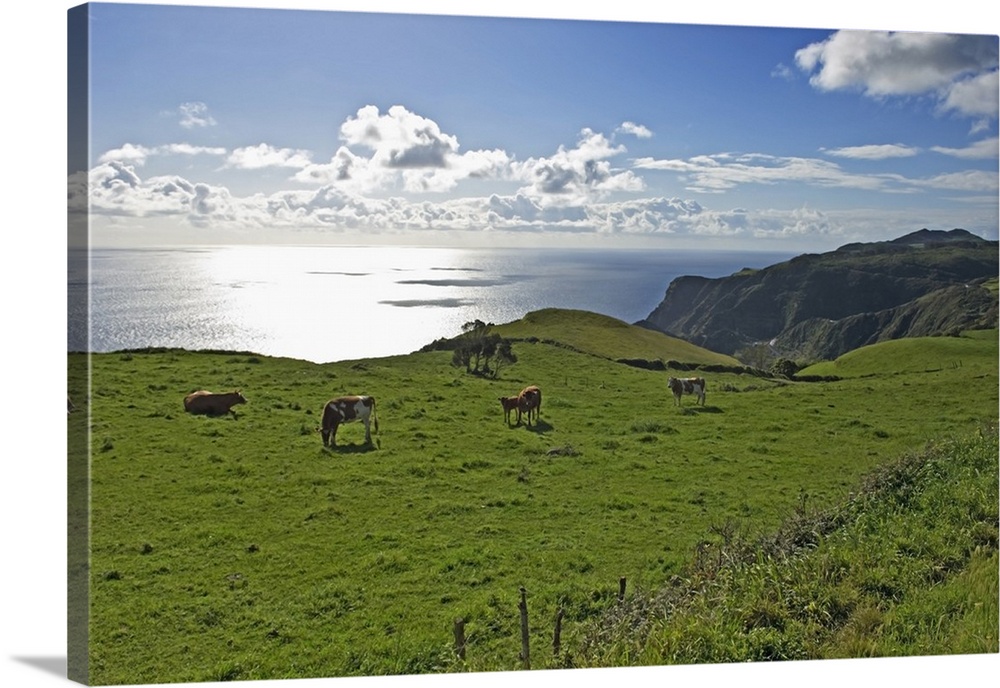 Pastoral Landscape Of Santa Maria Island