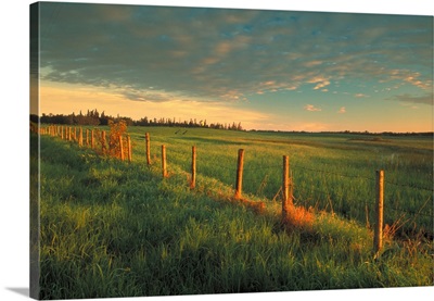 Pasture With Fenceline At Sunrise, Alberta, Canada