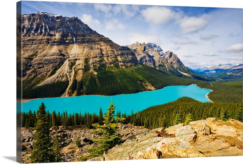 Peyto Lake, Banff National Park, Alberta, Canada Wall Art, Canvas ...