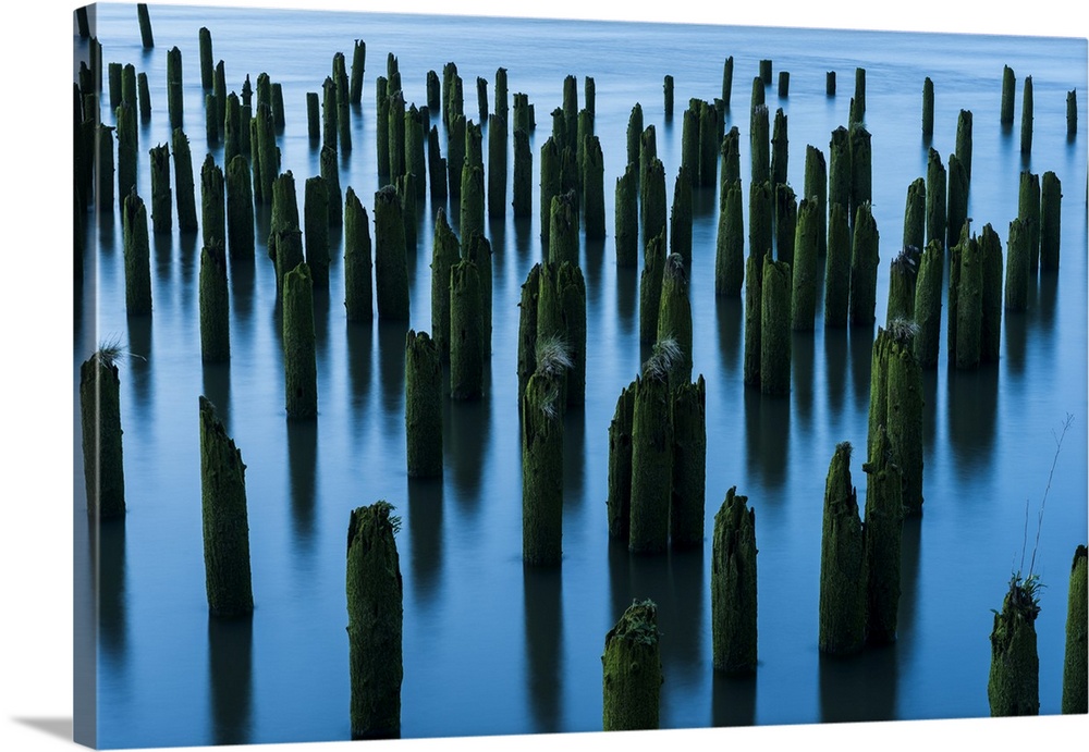 Pilings in the river mark the location of bygone industry; Astoria, Oregon, United States of America
