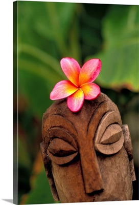 Pink Plumeria Flower Atop Wooden Polynesian Statue Carving, Outdoors