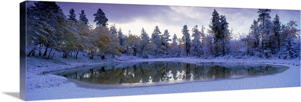 Pond And Fresh Snowfall, Near 70 Mile House, British Columbia, Canada