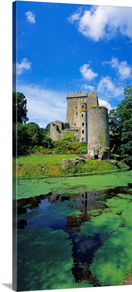 Pond In Front Of A Castle, Blarney Castle, County Cork, Republic Of Ireland