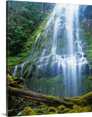 Proxy Falls plummets down the bluffs, Sisters, Oregon