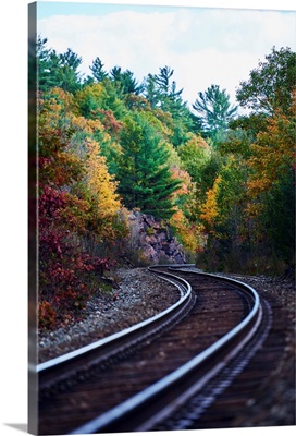 Railroad tracks through an autumn coloured forest; Ontario, Canada