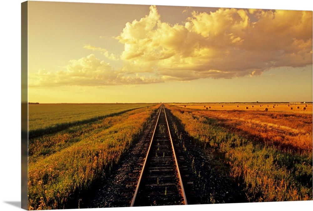 Railway Through Farmland, Near Carey, Manitoba, Canada