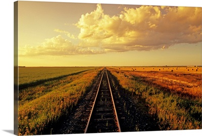 Railway Through Farmland, Near Carey, Manitoba, Canada