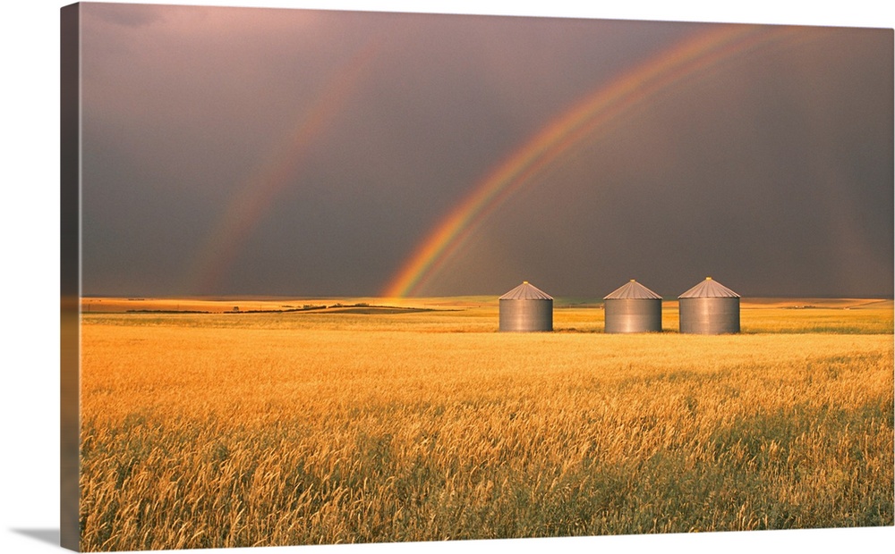 Rainbow Over Wheat Field, Alberta, Canada