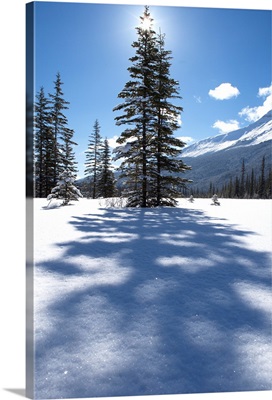 Rampart Flats In Winter, Banff National Park, Alberta, Canada