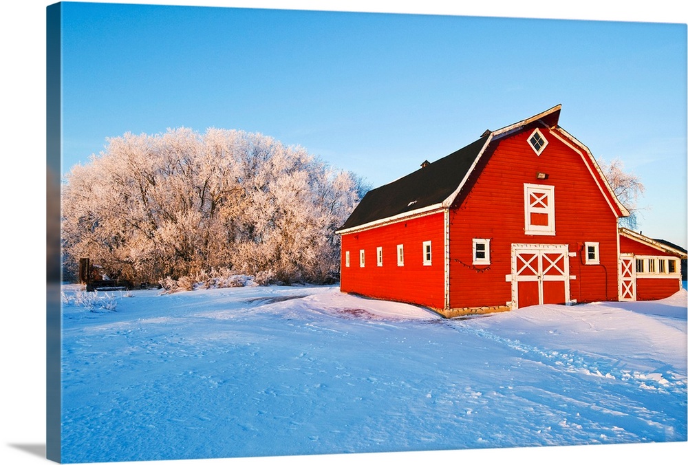 Red Barn , Winter, Near Oakbank, Manitoba, Canada
