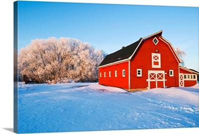 Red Barn , Winter, Near Oakbank, Manitoba, Canada