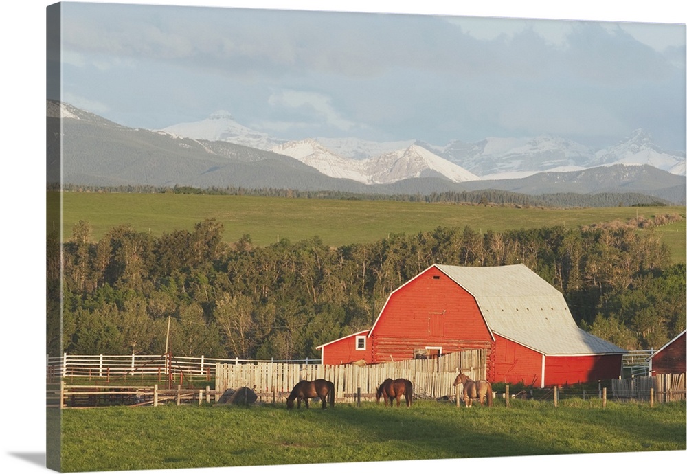 Red Barn With Horses Grazing