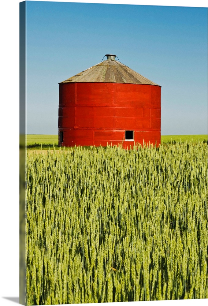 Red Grain Bin In Wheat Field, Sceptre, Saskatchewan, Canada
