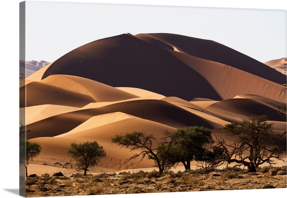 Sunrise Light Illuminate The Large, Red Sand Dunes In Sossusvlei Which Is Part Of The Namib Desert, Namibia