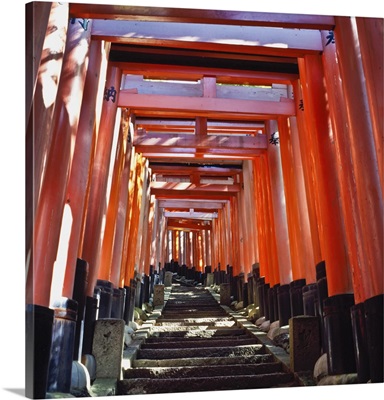 Red Torii Arches Over Steps At Inari Temple