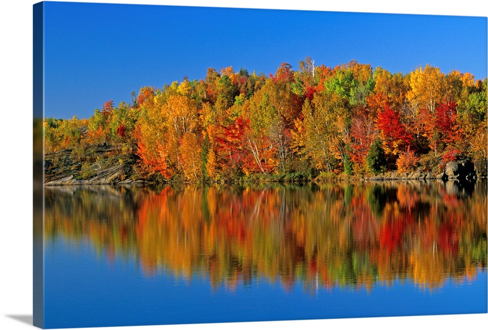 Reflected Autumn Trees In Simon Lake, Naughton, Ontario, Canada