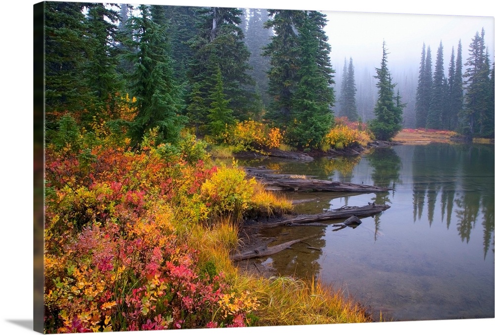 Reflection On Lake In Autumn, Mount Rainier National Park, Washington, USA