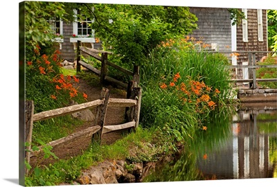 Reflections in stream and flowers in bloom at Stony Brook Grist Mill.; Brewster, Massachusetts.