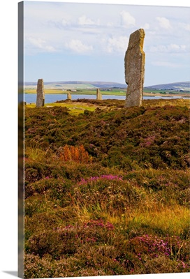 Ring Of Brodgar, Orkney, Scotland