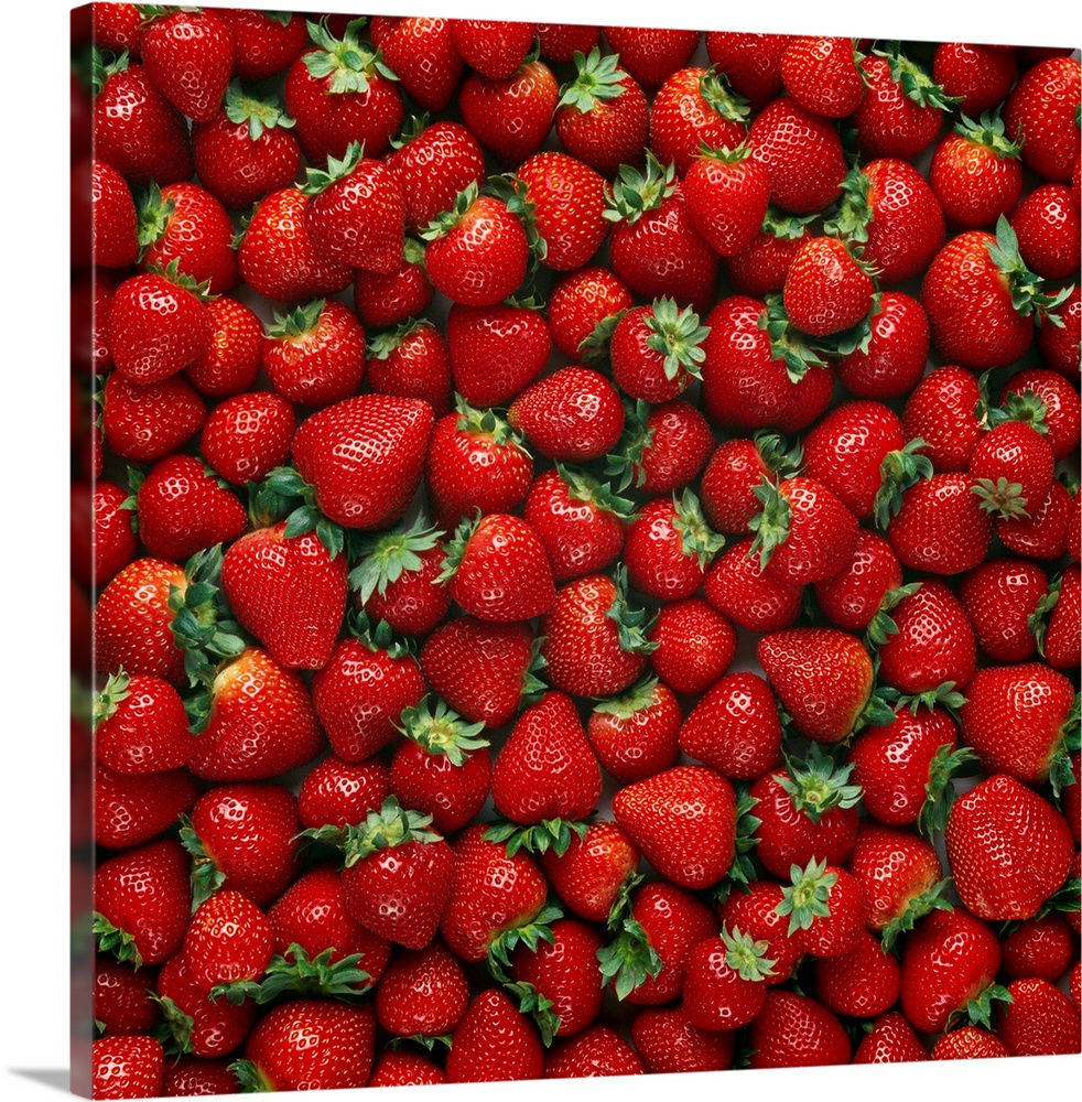 Ripe strawberries, Monterey County, California