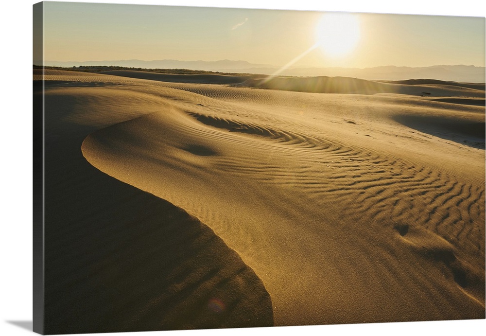 Rippled sand dunes in sunset light, Ebro River delta, Catalonia, Spain.