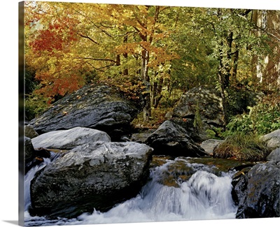 River In Autumn