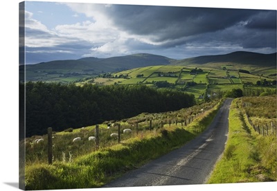 Road Through Glenelly Valley, County Tyrone, Northern Ireland