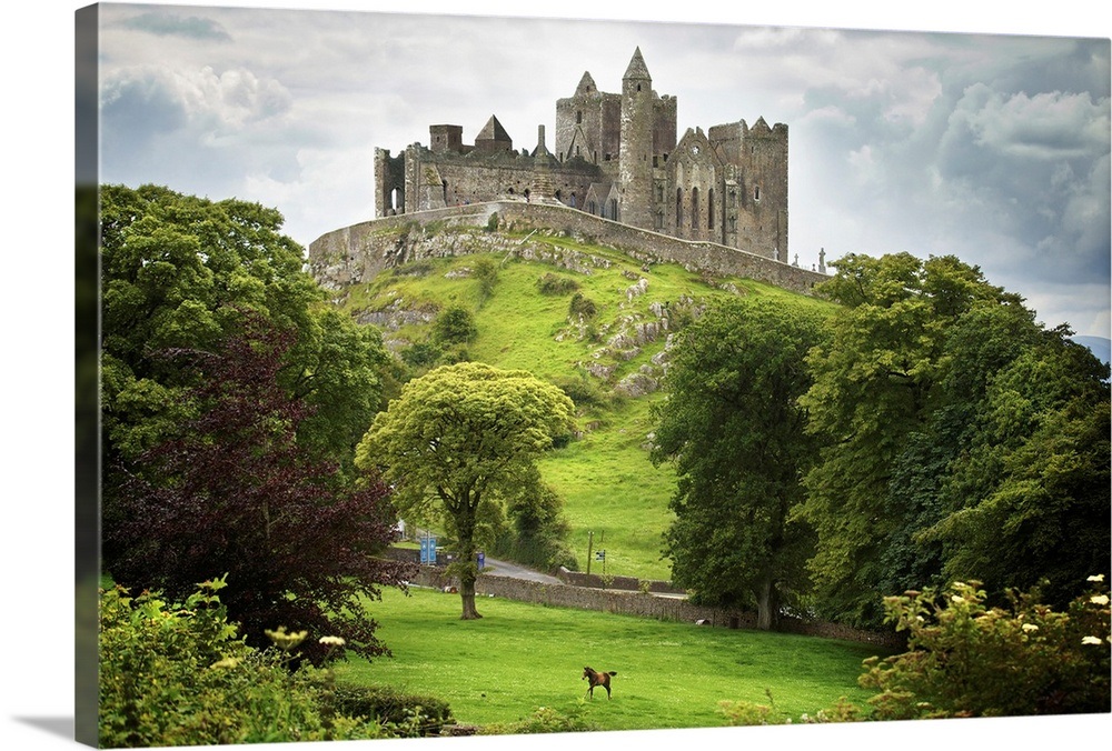 Rock Of Cashel; Cashel County Tipperary Ireland Wall Art, Canvas Prints