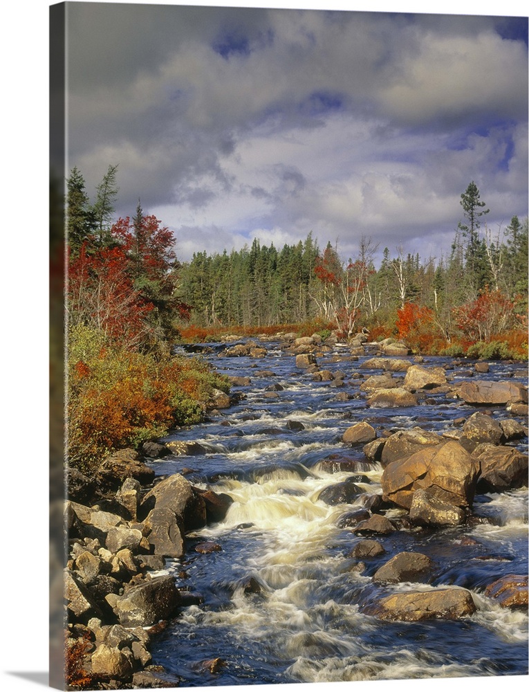 Rocky Brook And Fall Colours, Newfoundland, Canada