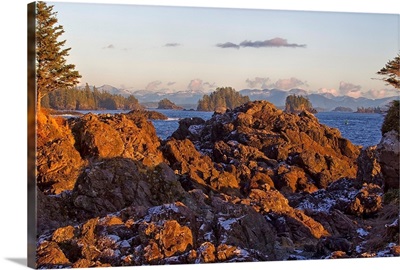 Rocky Coastline With Snow, Ucluelet Vancouver Island, British Columbia, Canada