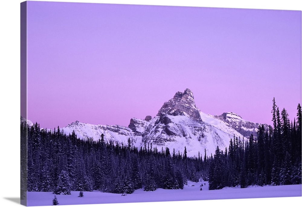 Snow covers the rugged Rocky Mountains and forest in Yoho national park at twilight. British Columbia, Canada.