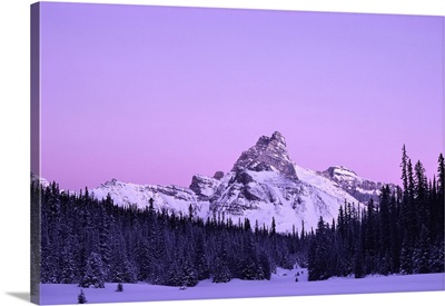 Rocky Mountains And Forest In Yoho National Park At Twilight, British Columbia, Canada