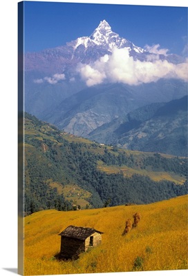 Rural Scenic, Himalayan Mountains, Annapurna Circuit, Nepal
